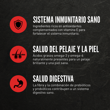 null - Product image 3.0